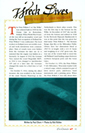 2004 Jan-Feb Dive Cronicles 02